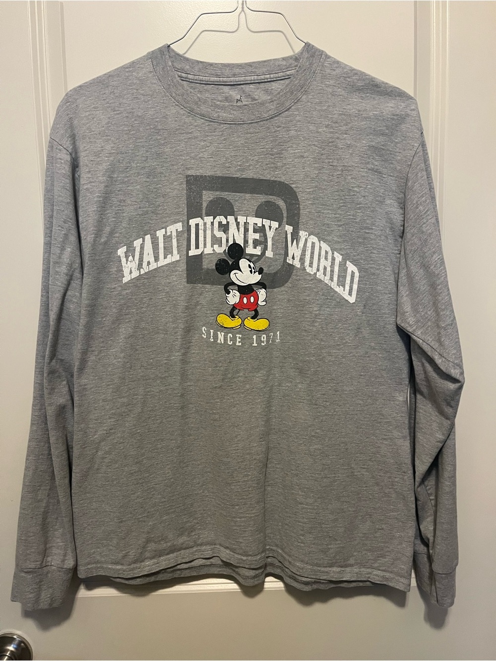 Walt Disney World Long Sleeve Grey T Shirt